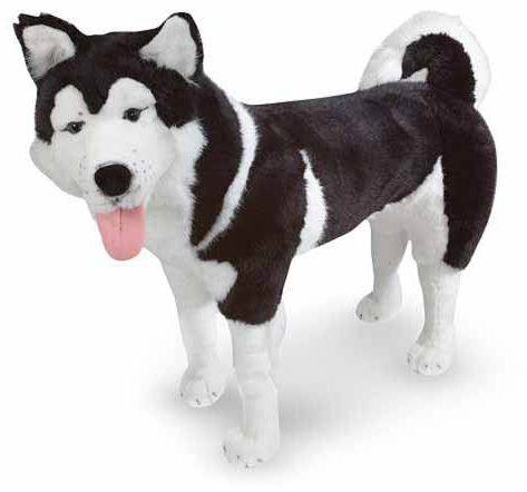 giant husky dog teddy